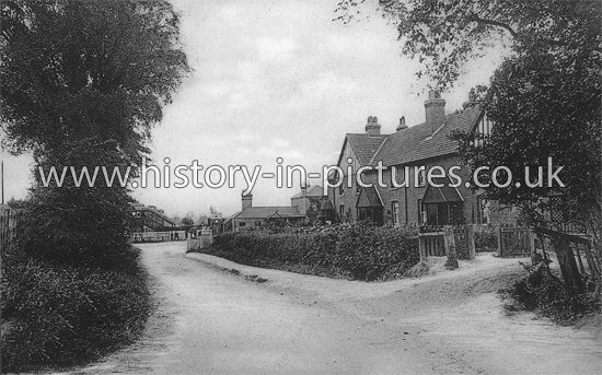 The Cottage and Station, Station Road, Hatfield Peverel, Essex. c.1915
